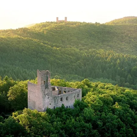 La Curiosite - Appartement 2 Chambres A Barr, Route Des Vins D'Alsace Esterno foto