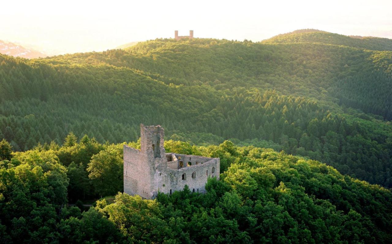 La Curiosite - 2 A Barr, Route Des Vins D'alsace Barr