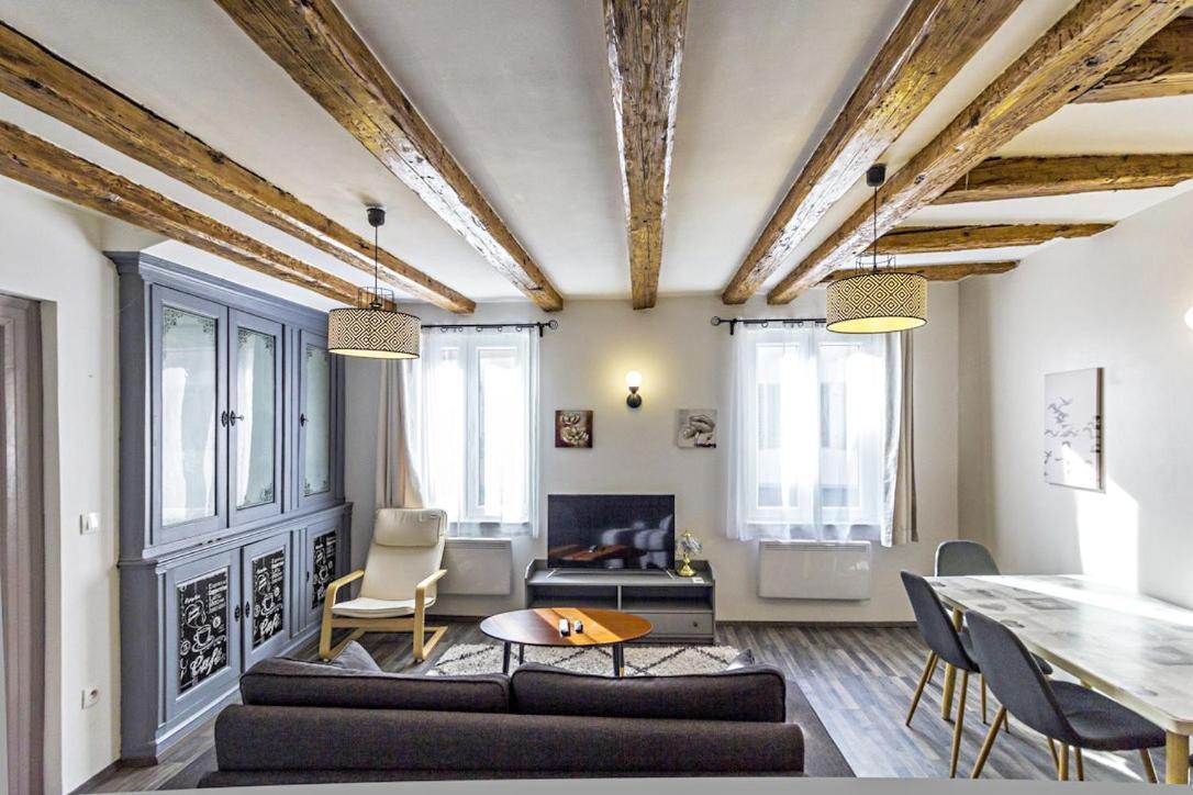 La Curiosite - 2 A Barr, Route Des Vins D'alsace Apartment